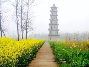 春暖花開南洞庭踏青、云夢七色花洲一日游  