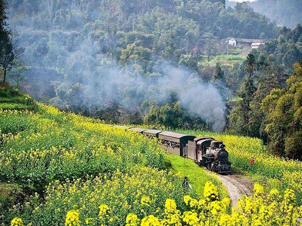 花海與小火車的搭配 來這幾個(gè)地方賞春色